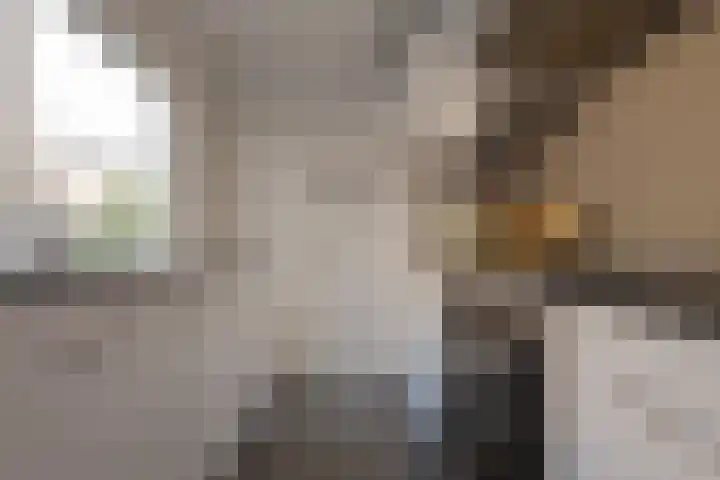 Diezerenk 42 Zwolle thumbnail 14
