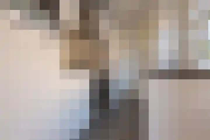 Diezerenk 42 Zwolle thumbnail 15