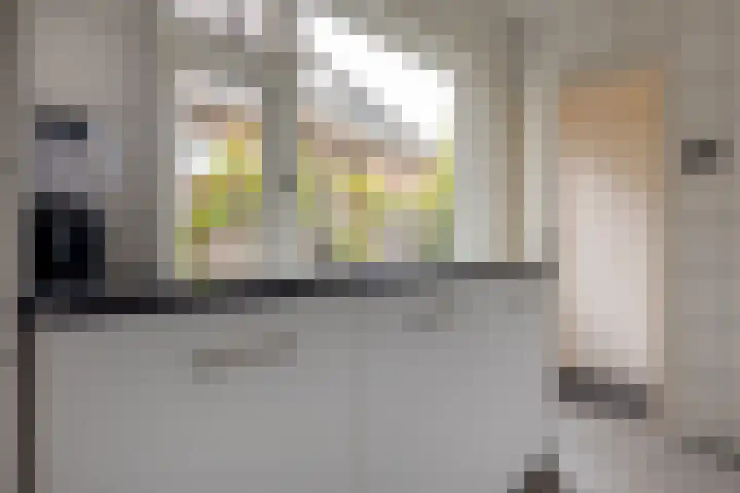 Diezerenk 42 Zwolle thumbnail 18