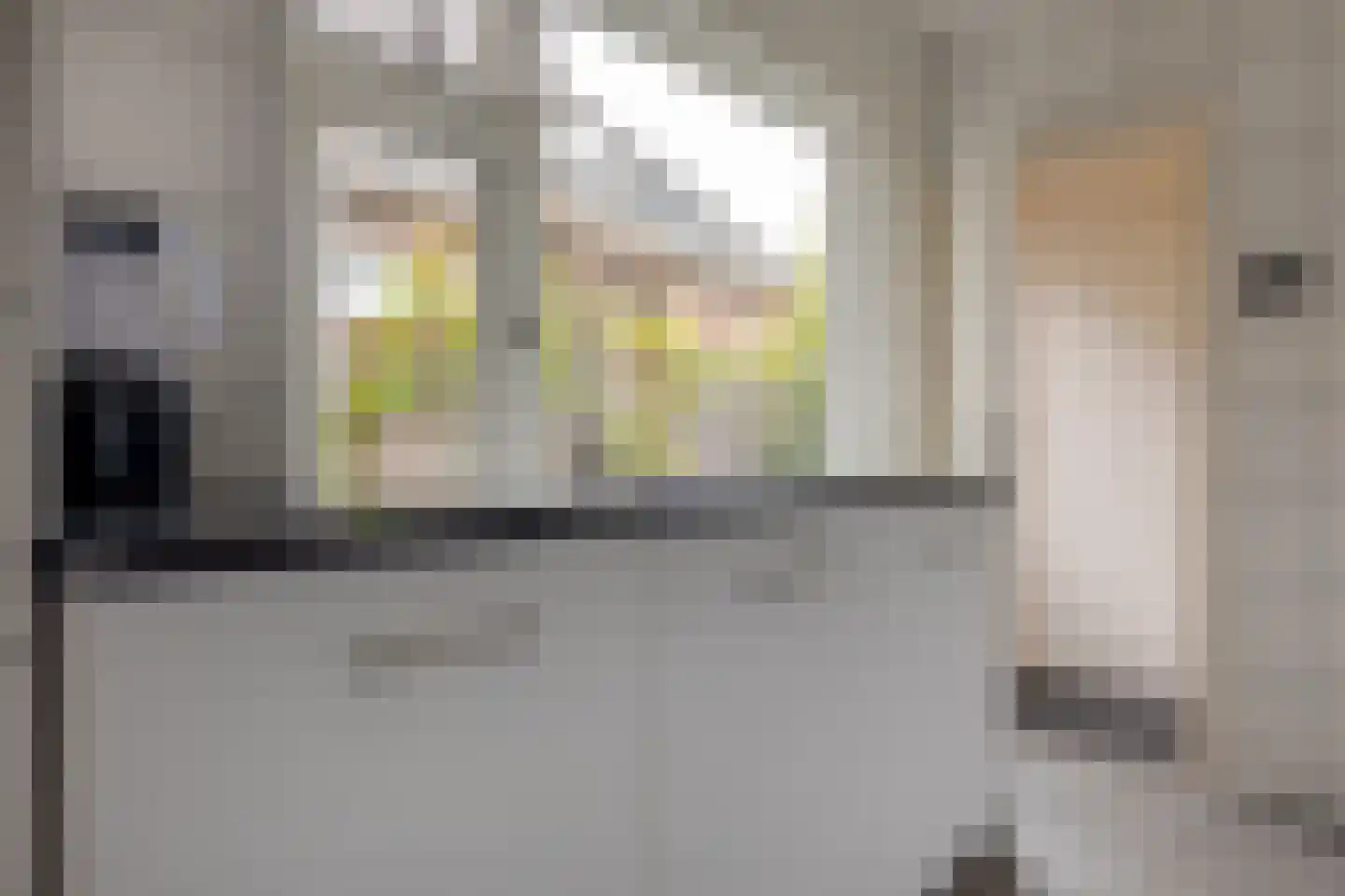 Diezerenk 42 Zwolle thumbnail 18