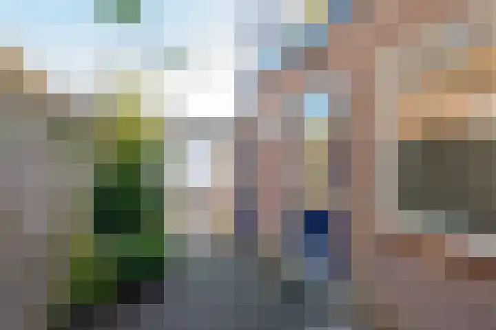 Diezerenk 42 Zwolle thumbnail 19