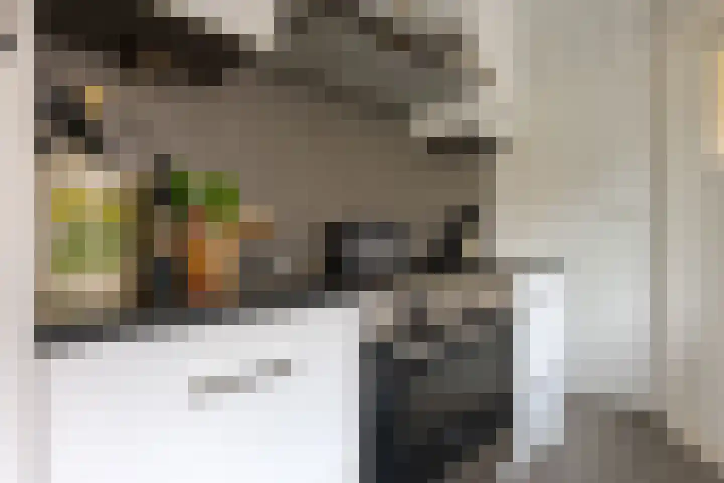 Diezerenk 42 Zwolle thumbnail 20