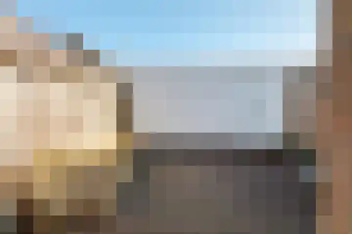 Diezerenk 42 Zwolle thumbnail 21