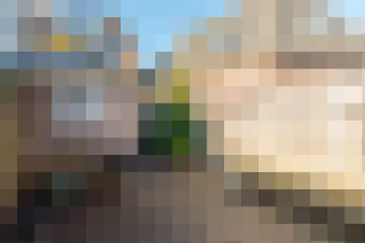 Diezerenk 42 Zwolle thumbnail 22