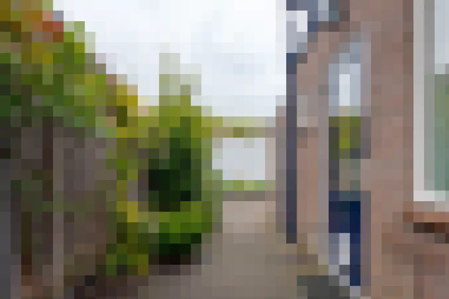 Diezerenk 42 Zwolle thumbnail 22