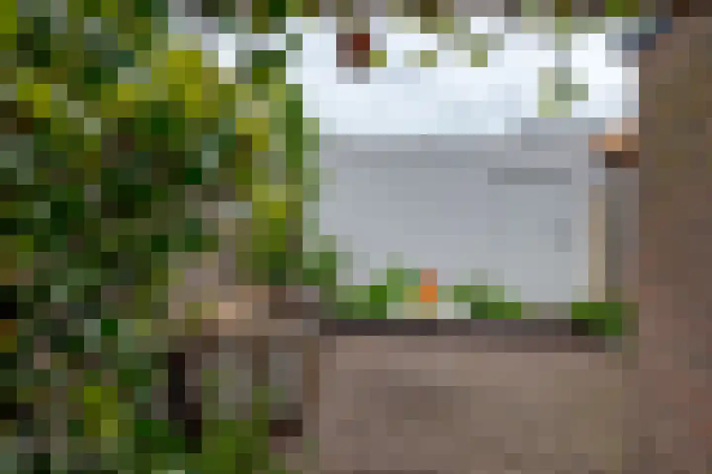 Diezerenk 42 Zwolle thumbnail 24