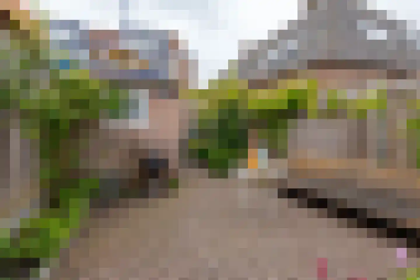 Diezerenk 42 Zwolle thumbnail 26