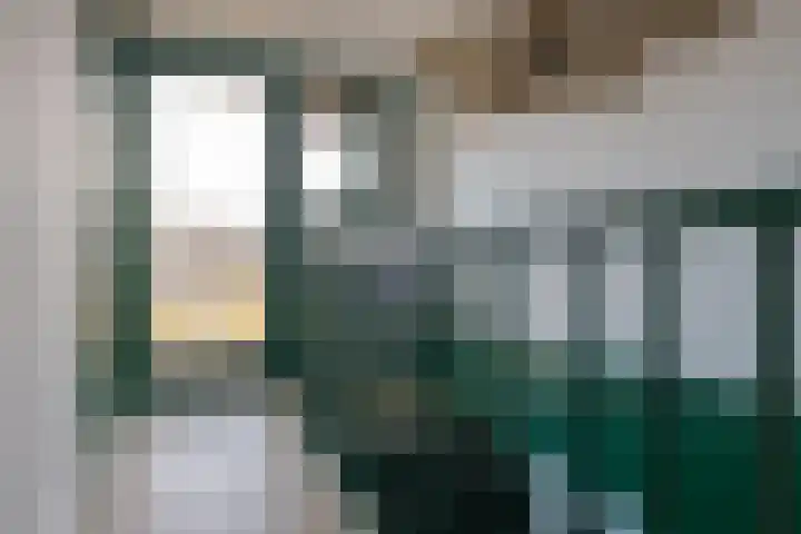 Diezerenk 42 Zwolle thumbnail 27