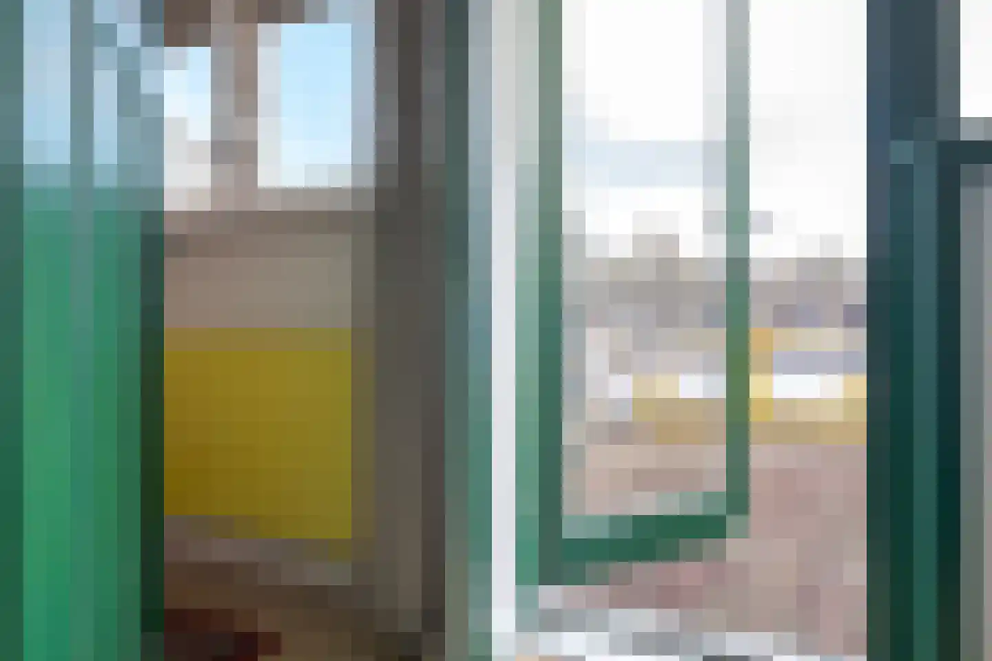 Diezerenk 42 Zwolle thumbnail 28