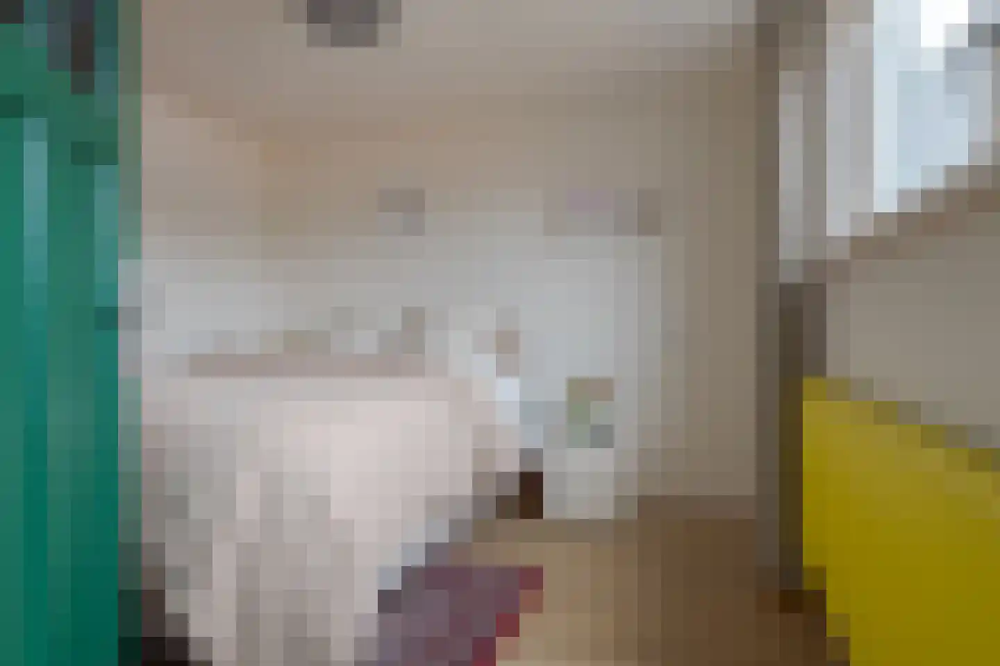 Diezerenk 42 Zwolle thumbnail 33