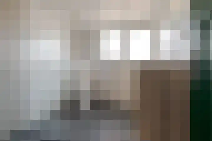 Diezerenk 42 Zwolle thumbnail 36