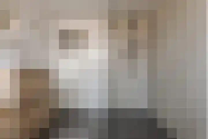 Diezerenk 42 Zwolle thumbnail 37
