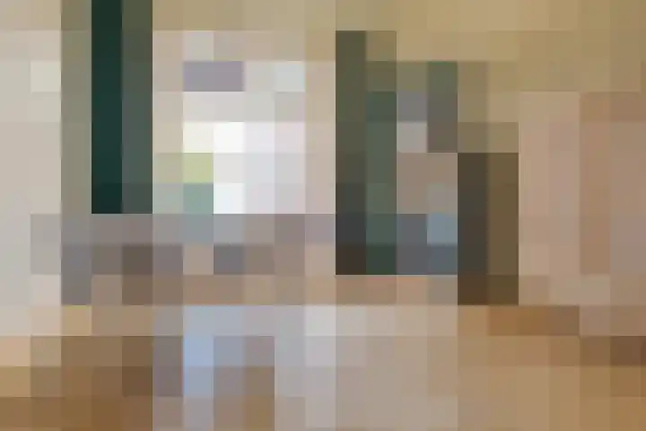 Diezerenk 42 Zwolle thumbnail 4