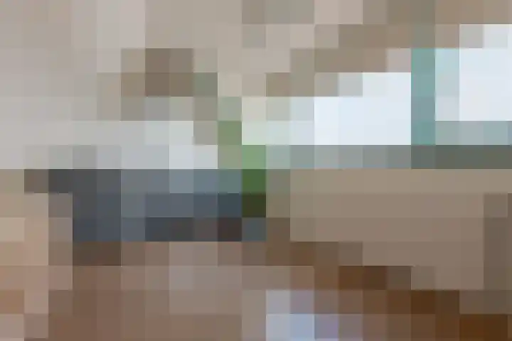 Diezerenk 42 Zwolle thumbnail 42