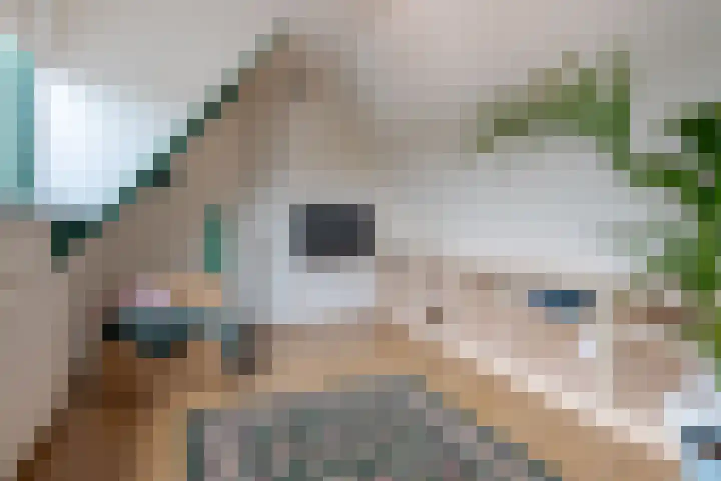 Diezerenk 42 Zwolle thumbnail 43