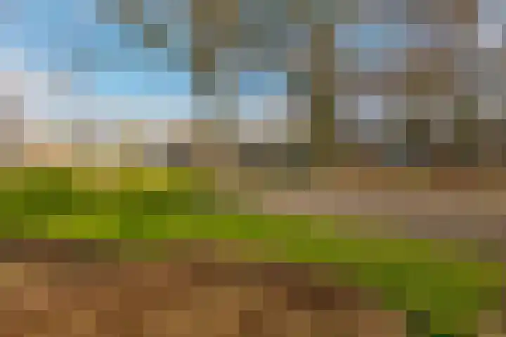 Diezerenk 42 Zwolle thumbnail 44