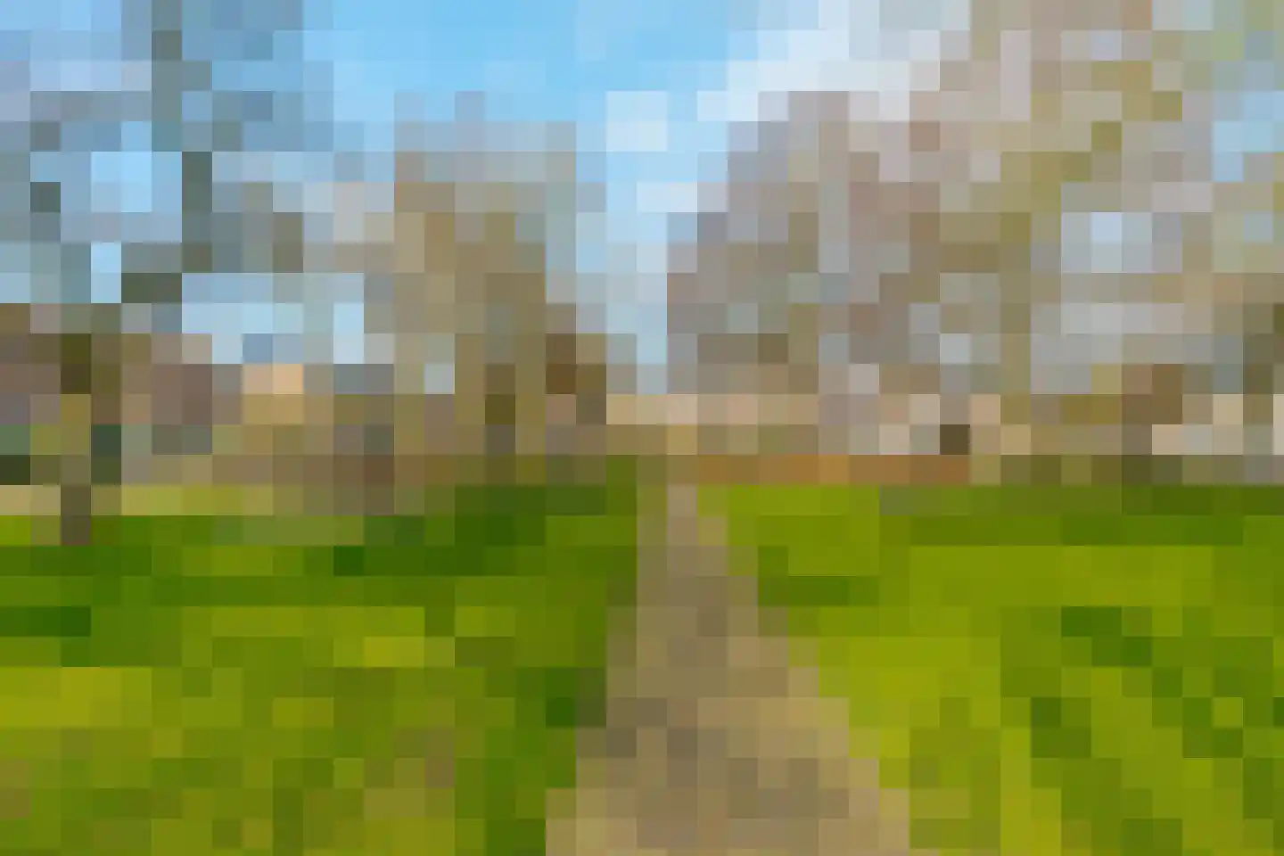 Diezerenk 42 Zwolle thumbnail 45