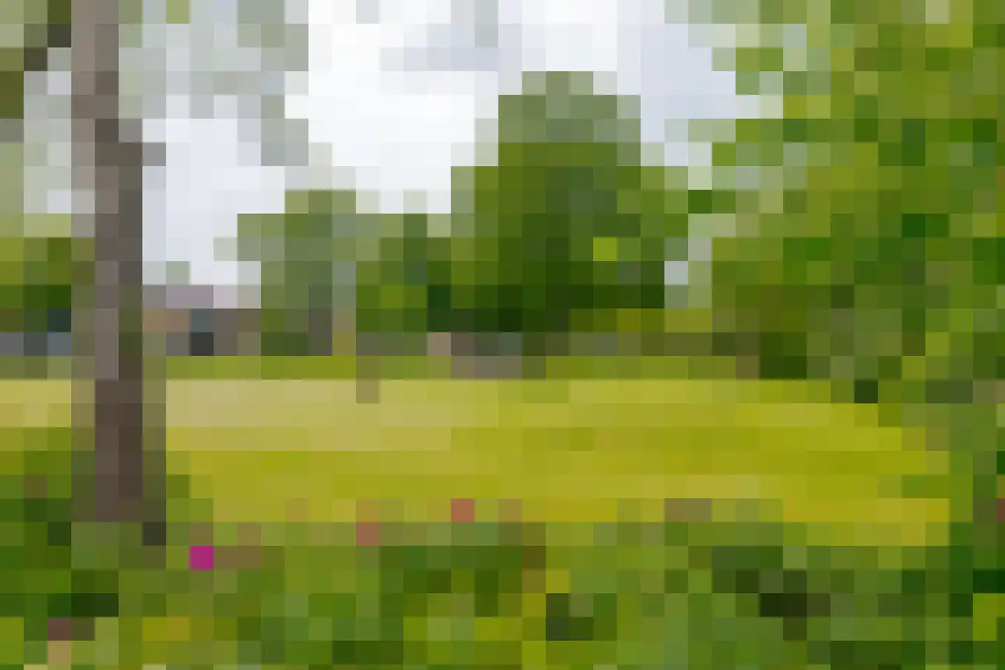 Diezerenk 42 Zwolle thumbnail 50