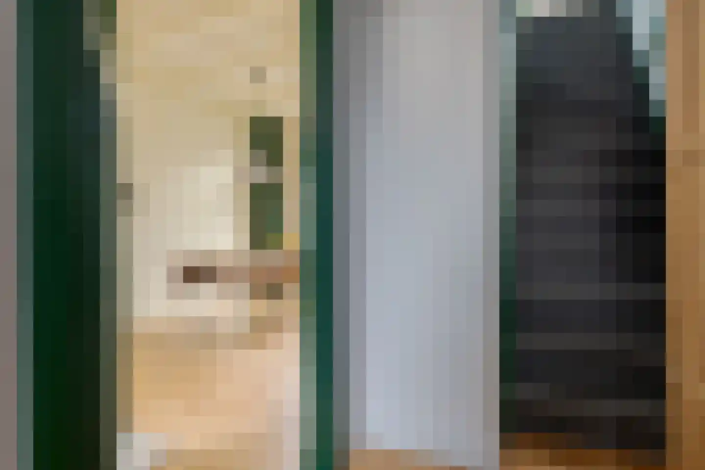 Diezerenk 42 Zwolle thumbnail 6