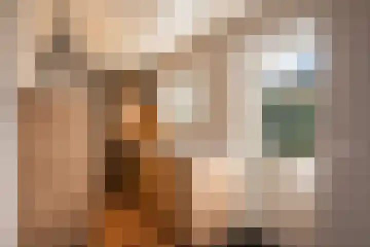 Diezerhoven 14 Zwolle thumbnail 14
