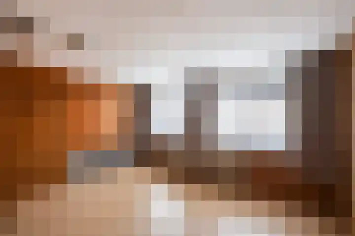 Diezerhoven 14 Zwolle thumbnail 18
