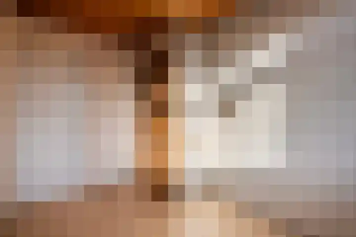 Diezerhoven 14 Zwolle thumbnail 20