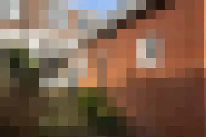 Diezerhoven 14 Zwolle thumbnail 25