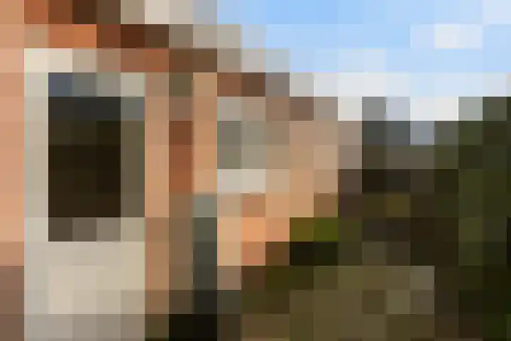Diezerhoven 14 Zwolle thumbnail 26