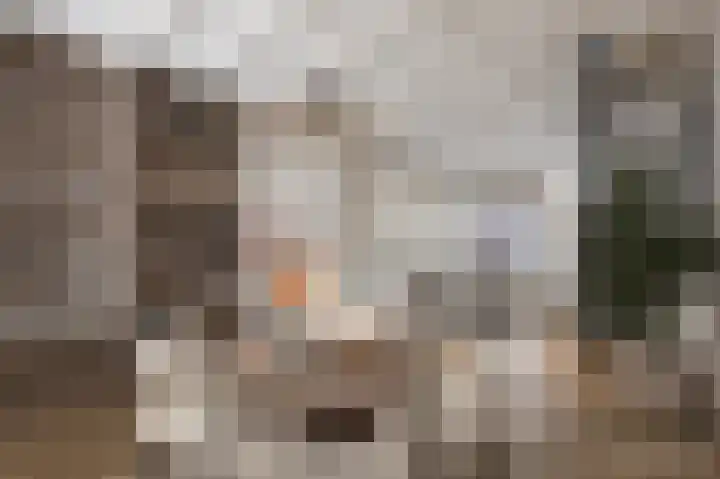 Diezerhoven 14 Zwolle thumbnail 6