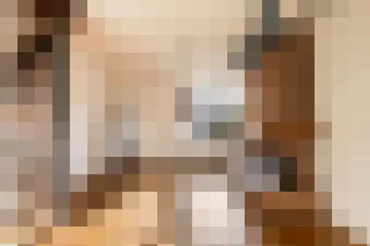 Diezerhoven 14 Zwolle thumbnail 7