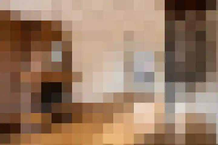 Diezerhoven 14 Zwolle thumbnail 8