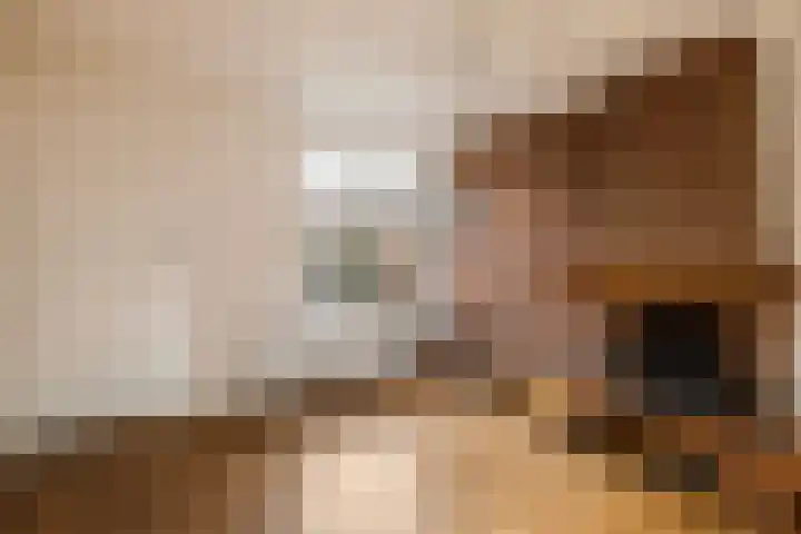 Diezerhoven 14 Zwolle thumbnail 9