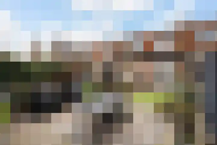 Diezerhoven 17 Zwolle thumbnail 17