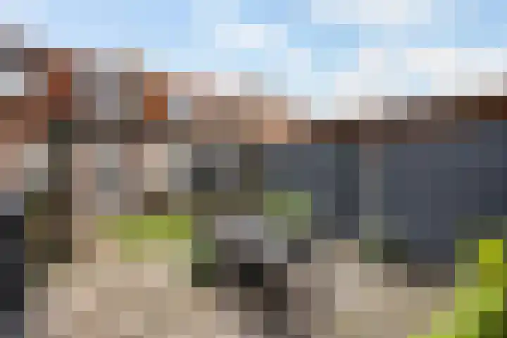 Diezerhoven 17 Zwolle thumbnail 18