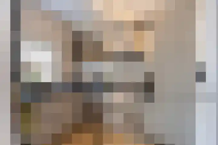 Diezerhoven 17 Zwolle thumbnail 20
