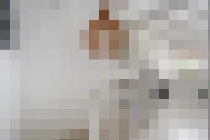 Diezerhoven 17 Zwolle thumbnail 22