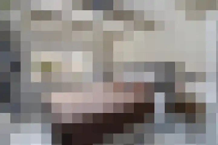 Diezerhoven 17 Zwolle thumbnail 25
