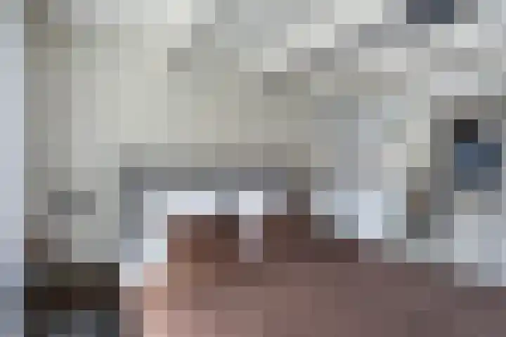 Diezerhoven 17 Zwolle thumbnail 26