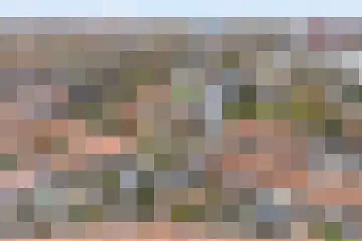 Diezerhoven 17 Zwolle thumbnail 36