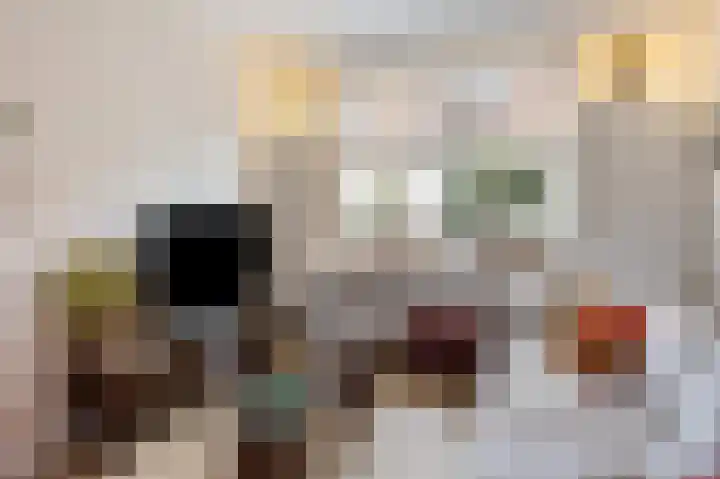 Diezerhoven 17 Zwolle thumbnail 8