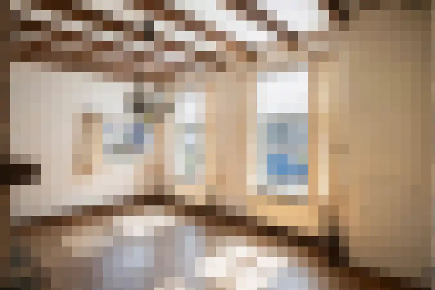 Diezerhoven 23 Zwolle thumbnail 10