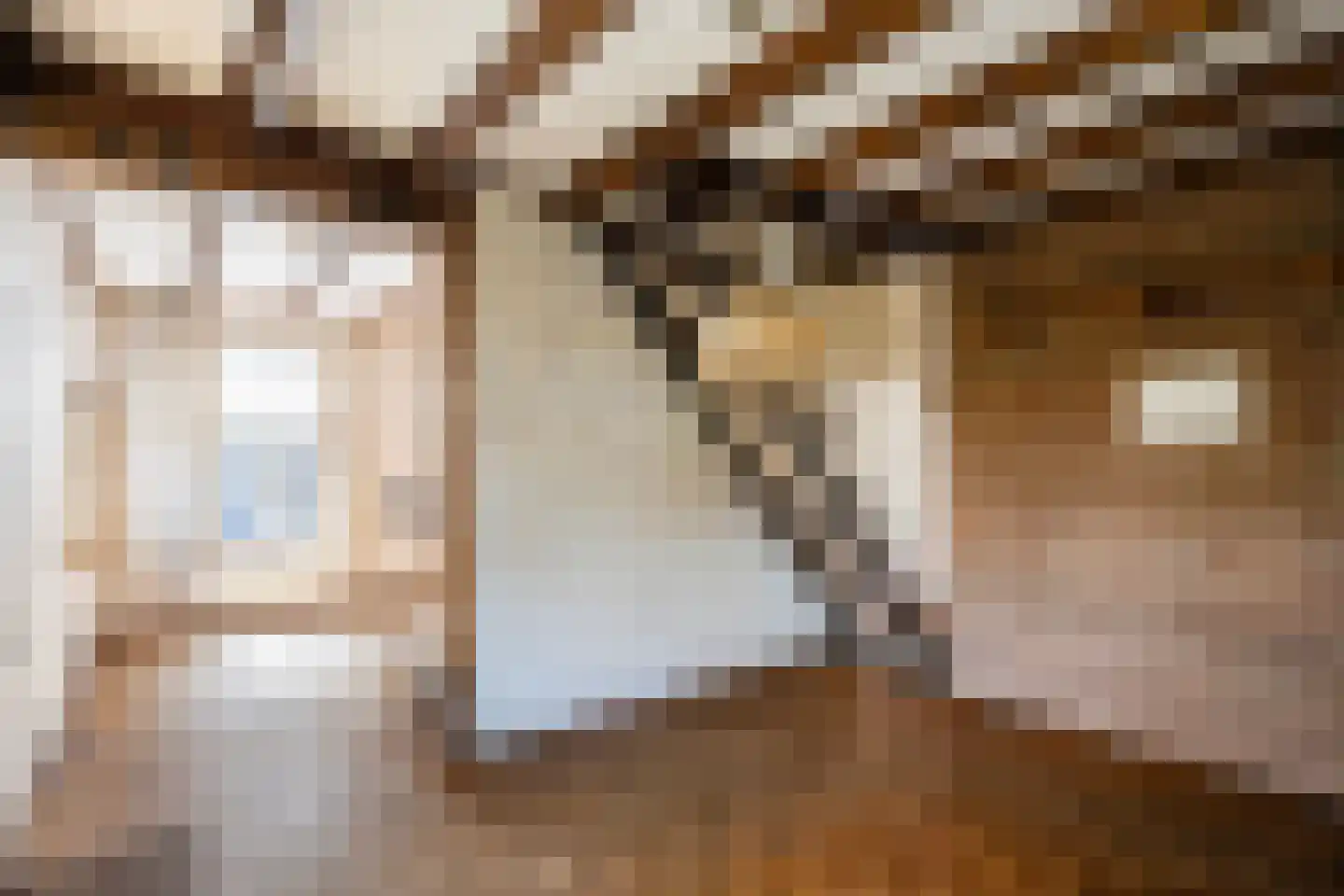 Diezerhoven 23 Zwolle thumbnail 11