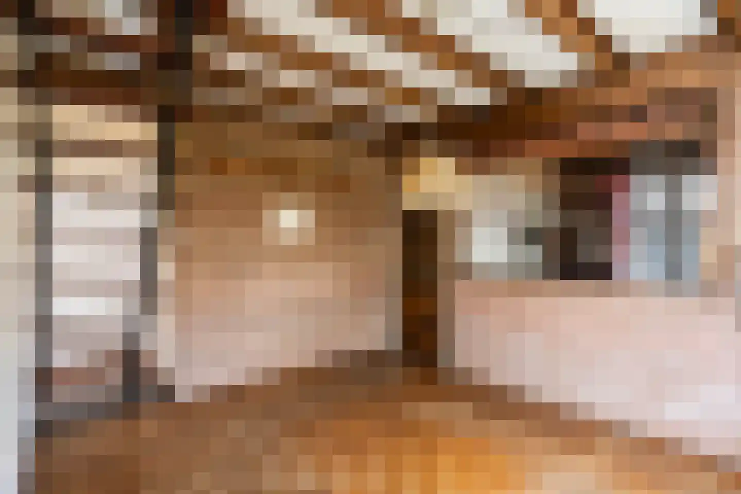 Diezerhoven 23 Zwolle thumbnail 12