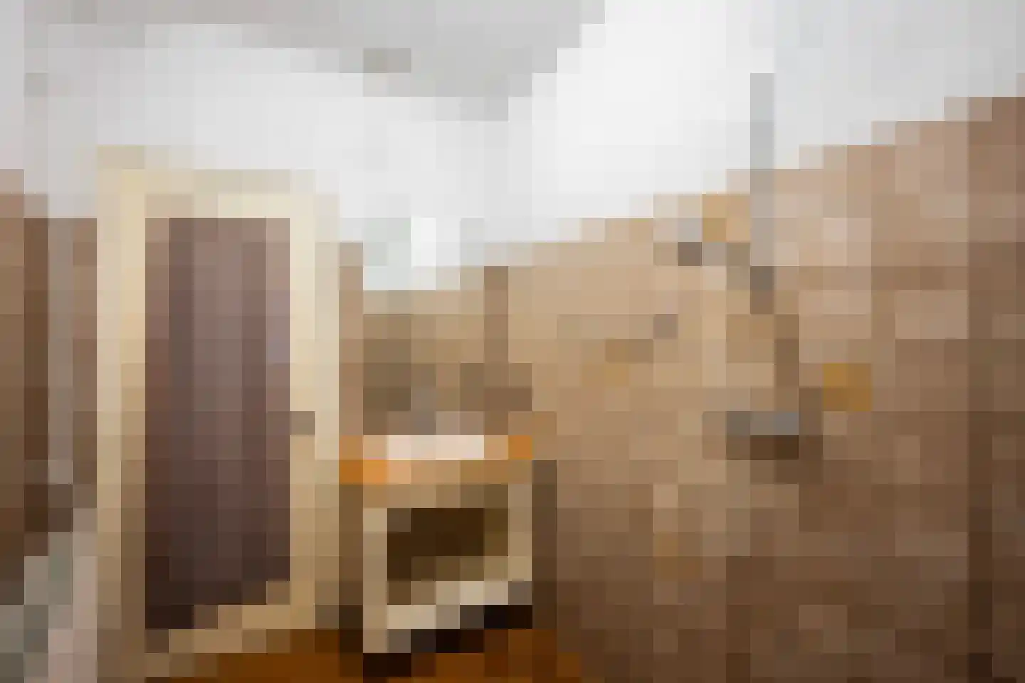 Diezerhoven 23 Zwolle thumbnail 17