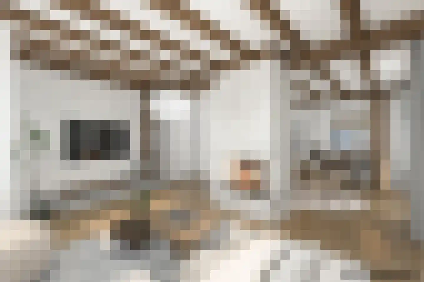 Diezerhoven 23 Zwolle thumbnail 7