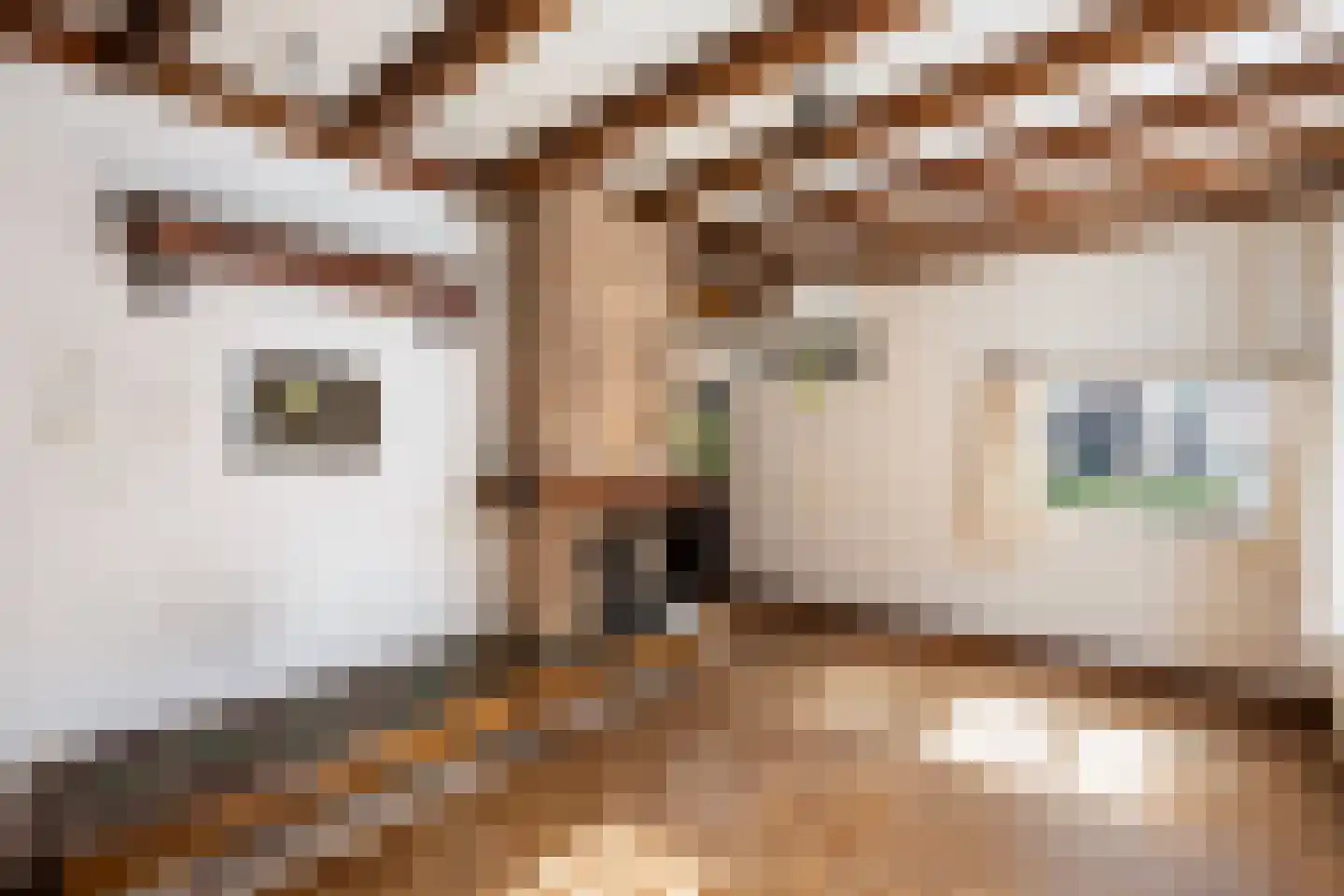 Diezerhoven 23 Zwolle thumbnail 8