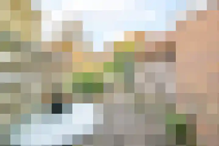 Diezerhoven 9 Zwolle thumbnail 15