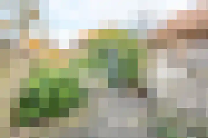 Diezerhoven 9 Zwolle thumbnail 16