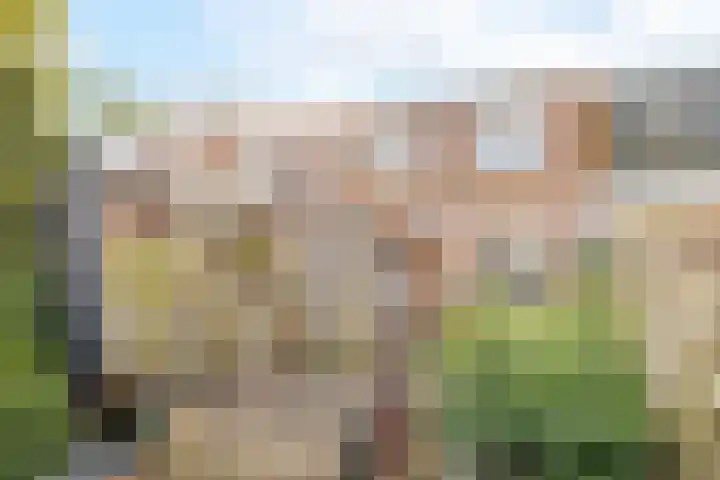 Diezerhoven 9 Zwolle thumbnail 17
