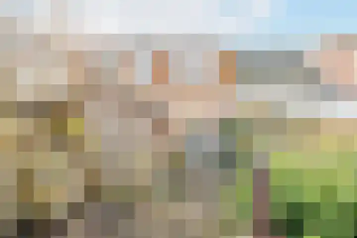 Diezerhoven 9 Zwolle thumbnail 18